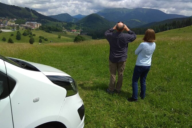 Private Transfer Prague to Passau or Passau to Prague with stop in Cesky Krumlov - Practical planning for your two-hour stop