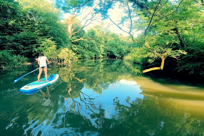 Scenic Paddleboarding Adventure: Nové Mlýny to Lednice - Key points at a glance
