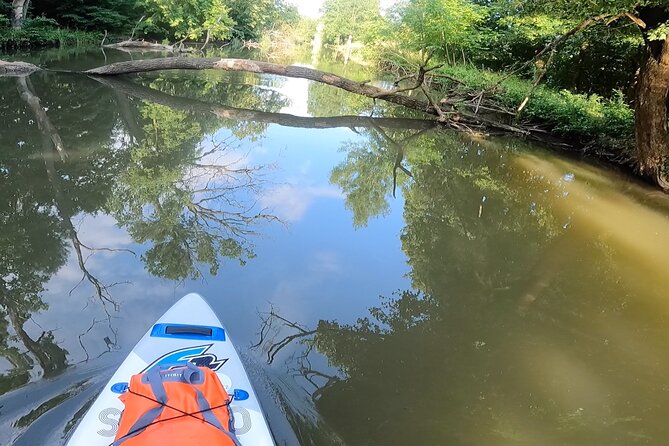 Scenic Paddleboarding Adventure: Nové Mlýny to Lednice - The first hour toward Bulhary