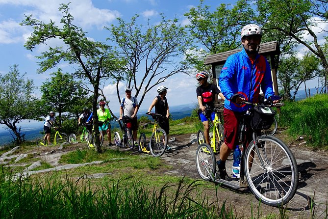 Scooter downhill tour from Děčínský Sněžník - Is $26.46 good value?