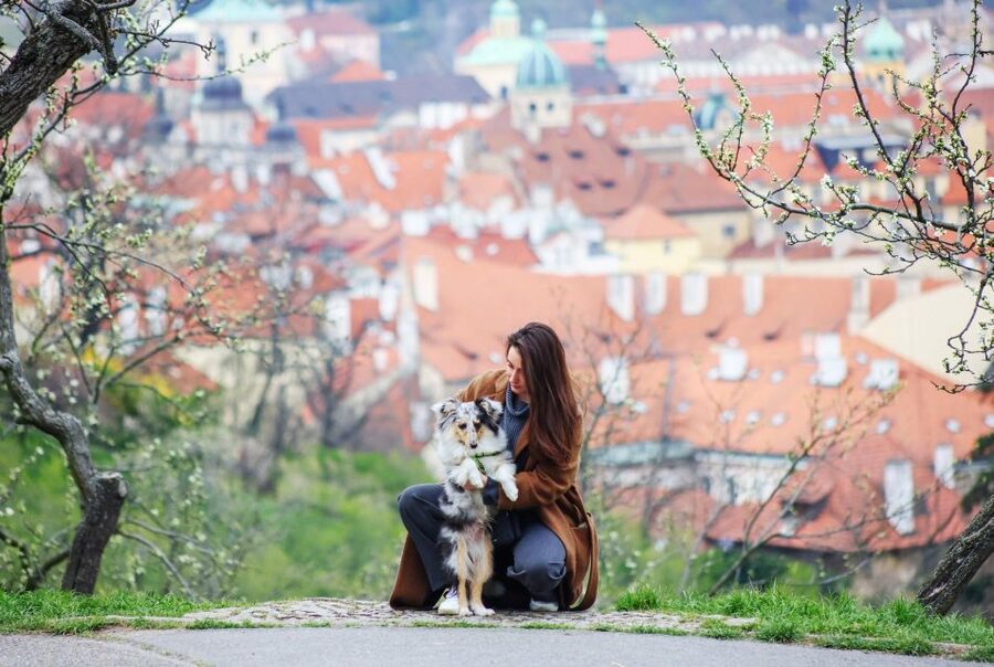 Skip-the-line Petrin Tower Prague Private Tour with Tickets - Key points to know before booking