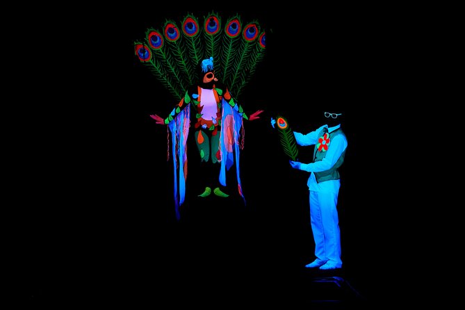 Skip the Line: WOW Show Black Light Theater in Prague Ticket - The theater setting and access concerns