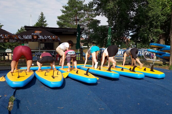 SUP - Paddleboard: Tour in the Centre of Prague - Paddling with Vysehrad castle in view