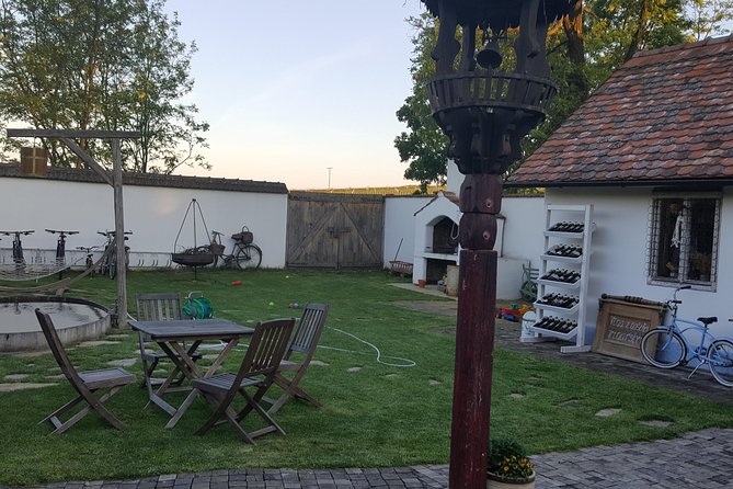 Ultimate private wine tasting experience from Prague to Moravia (3 days) - The private format and physical demands
