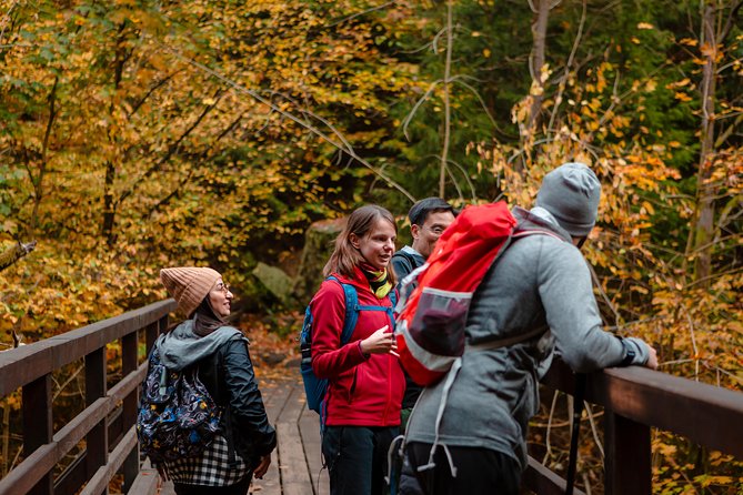 VIP Best Reviews: Bohemian & Saxon Switzerland from Prague - Kamenice River Gorges by Boat