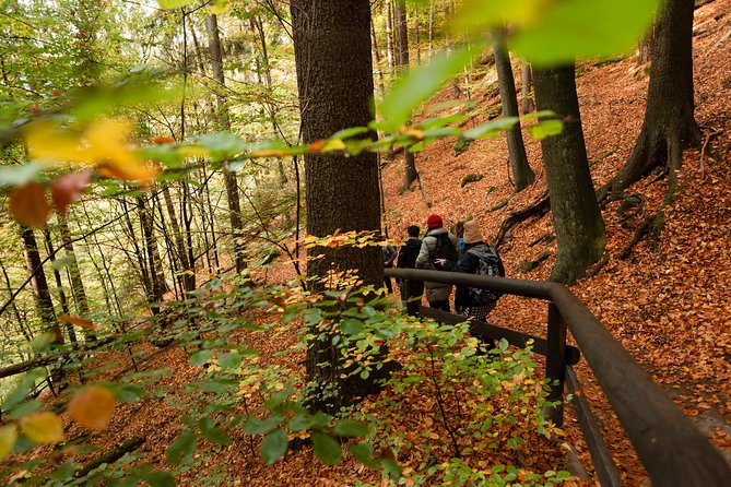 VIP Best Reviews: Bohemian & Saxon Switzerland from Prague - Guides, Safety, and the Small-Group Advantage