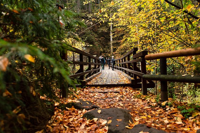 VIP Best Reviews: Bohemian & Saxon Switzerland from Prague - Is the $149.01 Price Good Value?
