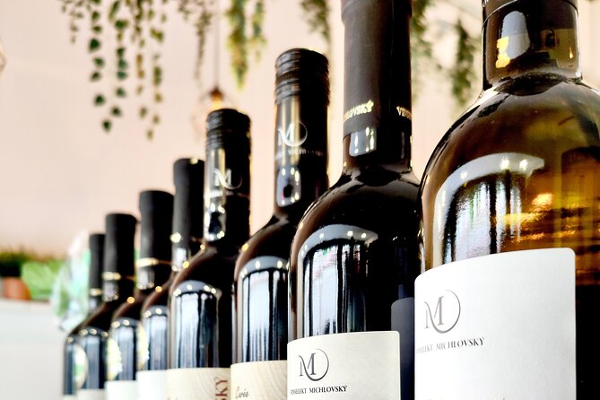 Wine Tasting and History Prague - Starting at Mariánské náměstí