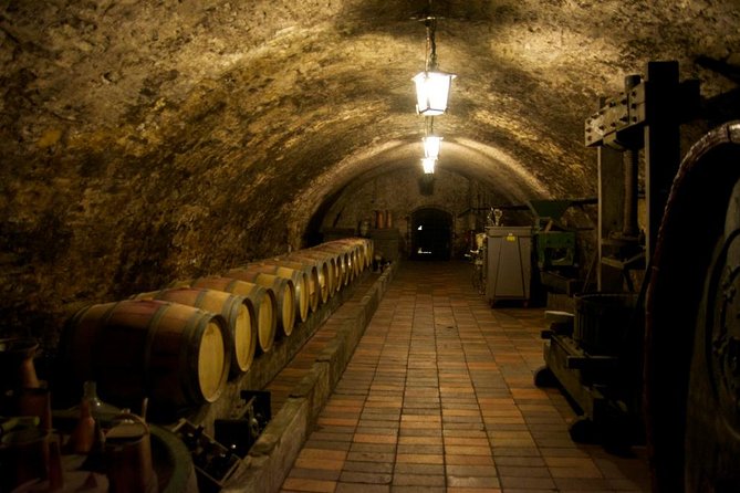 Wine Tasting Day Trip from Prague to Melnik - Key points to know before you book